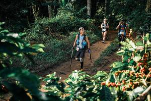 BIB: 
                            <button type="button" onclick="openModal(25844608)" class="btn btn-primary btn-sm float-right btn-popup" data-toggle="modal" data-target=".modal-high-quality">
                        <i class="fas fa-shopping-cart"></i> Add to Cart
                    </button>
                                            <button type="button" onclick="isThisMe(25844608, true)" class="btn btn-success btn-sm float-right btn-popup btn-isme hidden" data-toggle="tooltip" data-placement="bottom" title="นี่คือรูปของคุณใช่ไหม คลิกที่นี่เพื่อเอาเข้าอัลบั้ม">
                        <i class="fas fa-plus"></i> Add to album
                    </button>
                    <button type="button" onclick="isThisMe(25844608, false)" class="btn btn-warning btn-sm float-right btn-popup btn-isnotme hidden">
                        <i class="fas fa-ban"></i> Remove from album
                    </button>